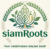 SiamRoots